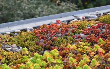 the cost of Estover green roof installation